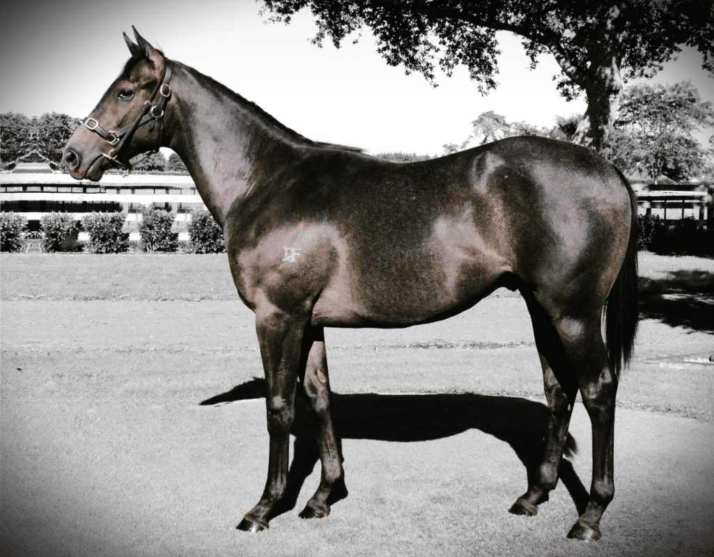 Aldezor